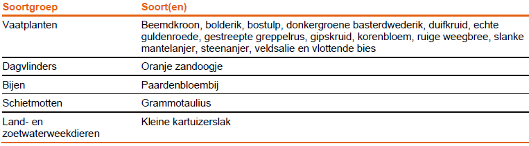 afbeelding "i_NL.IMRO.0984.TAM2025004-ON01_0020.png"