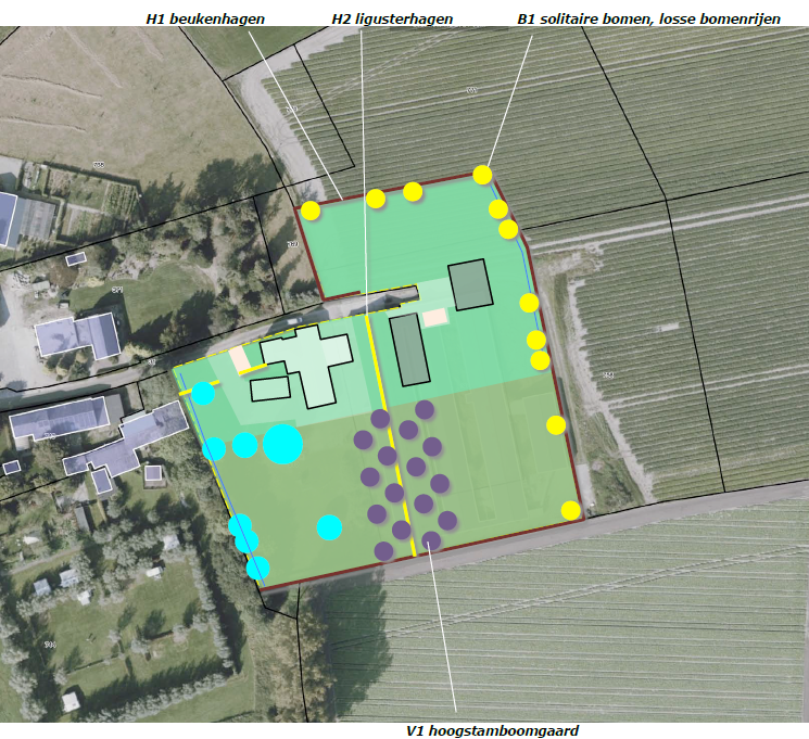 afbeelding "i_NL.IMRO.0984.TAM25026-on01_0005.png"